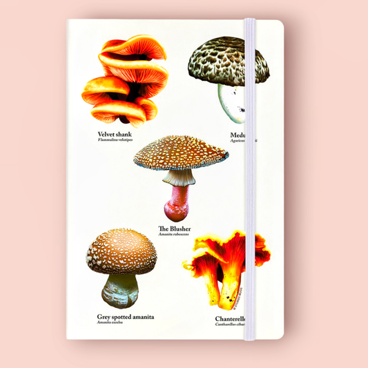 Mushroom Foraging Notebook