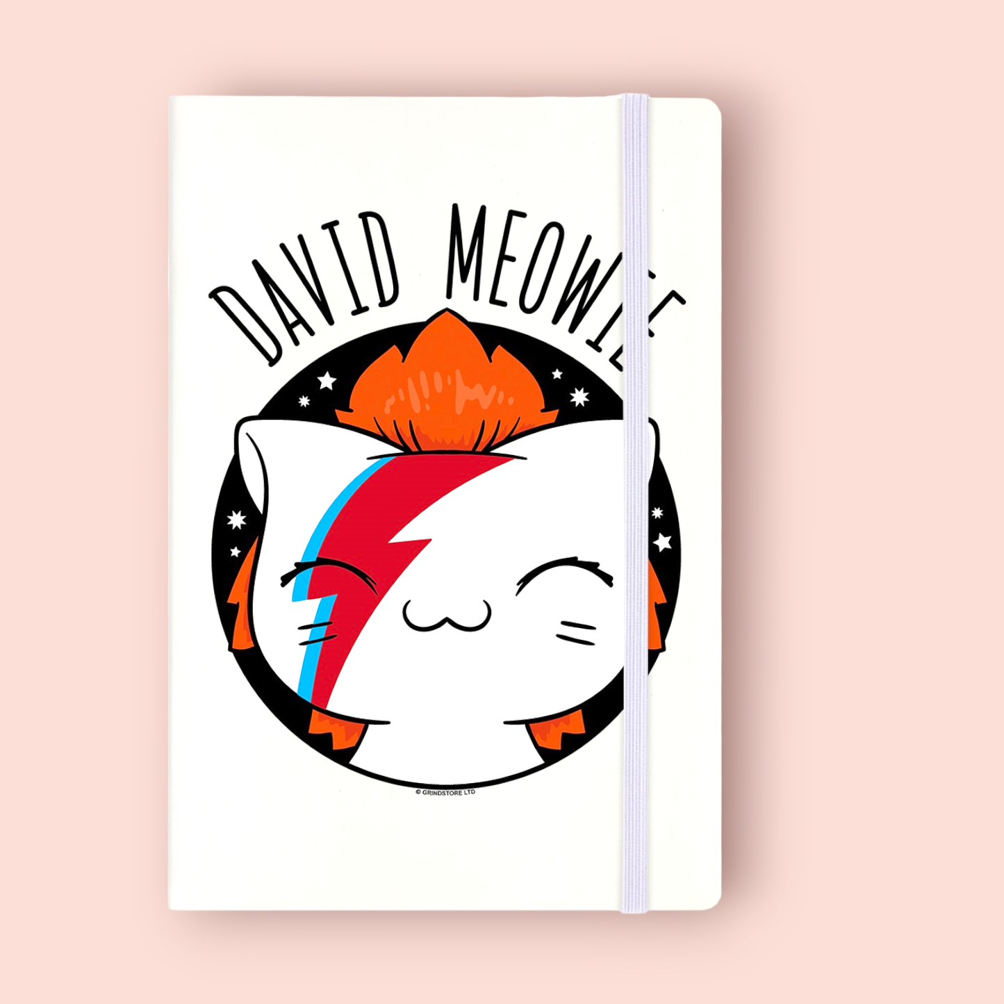 David Meowie Notebook