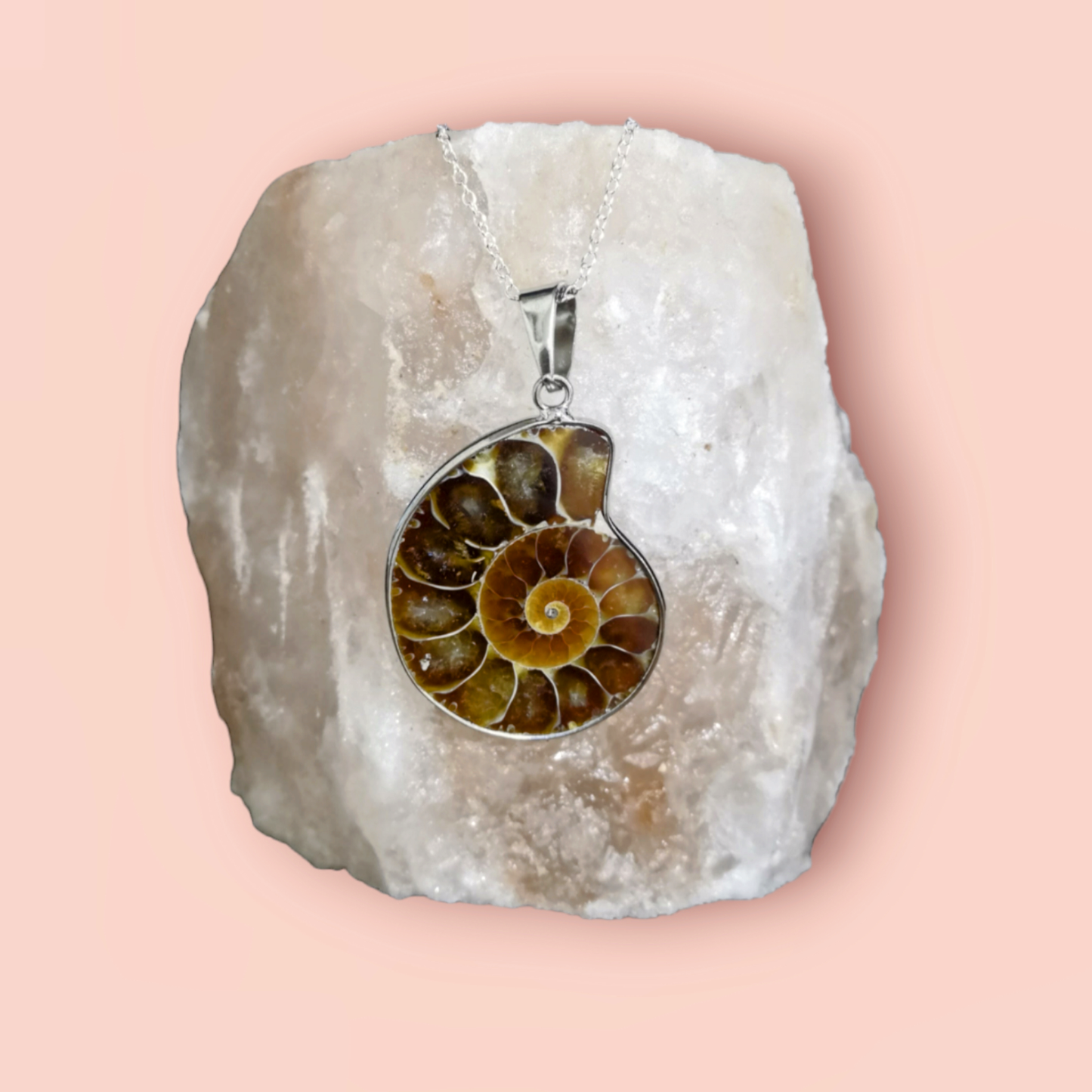 Ammonite Fossil Necklace