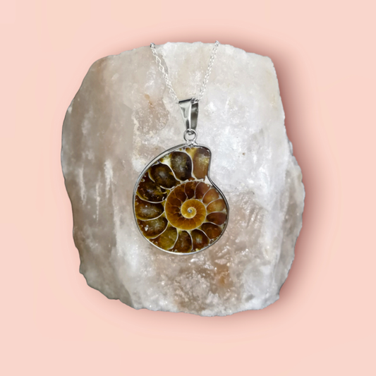 Ammonite Fossil Necklace