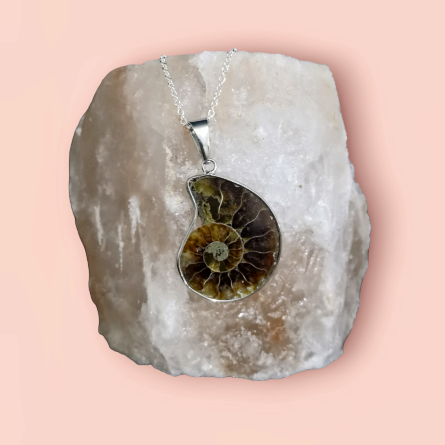 Ammonite Fossil Necklace