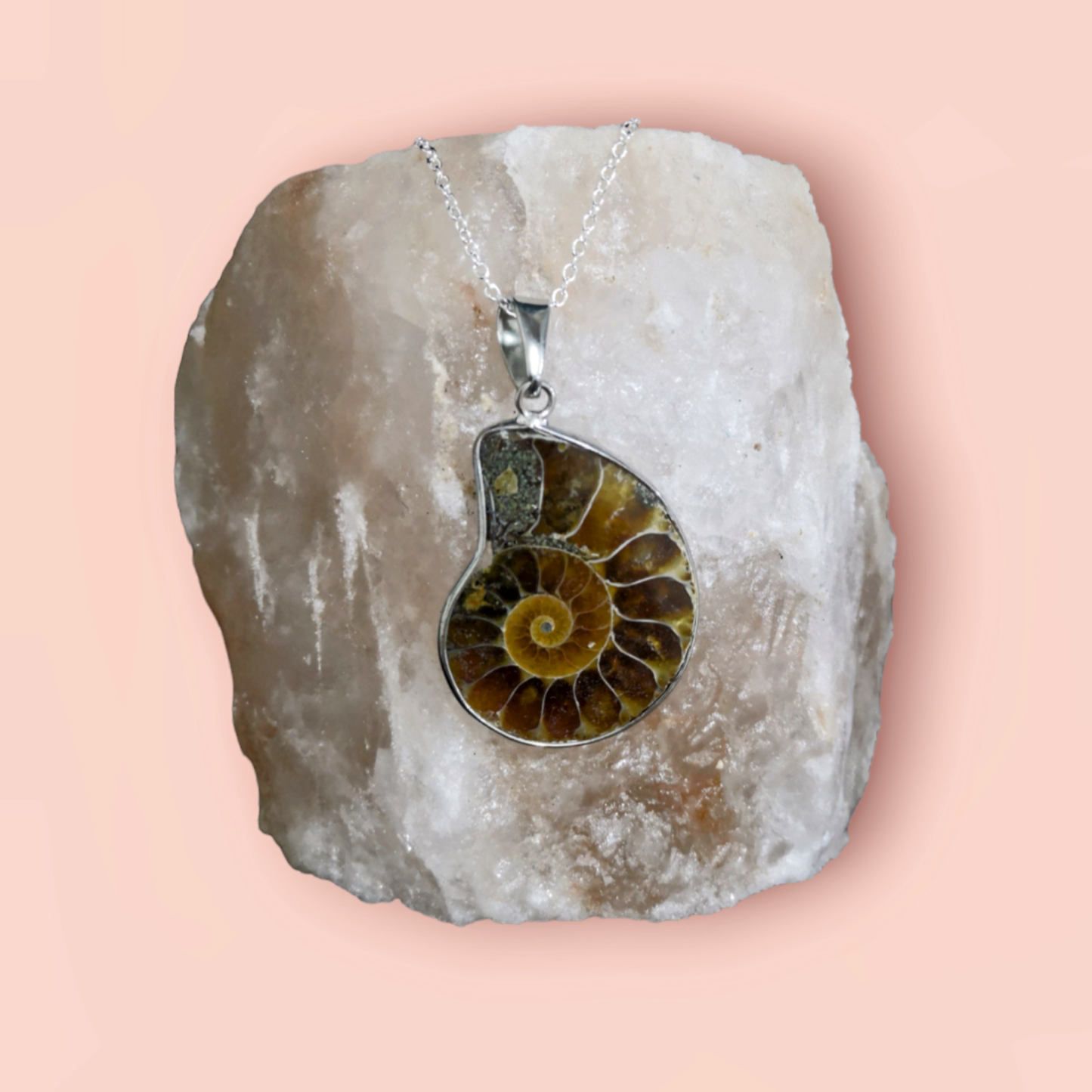 Ammonite Fossil Necklace