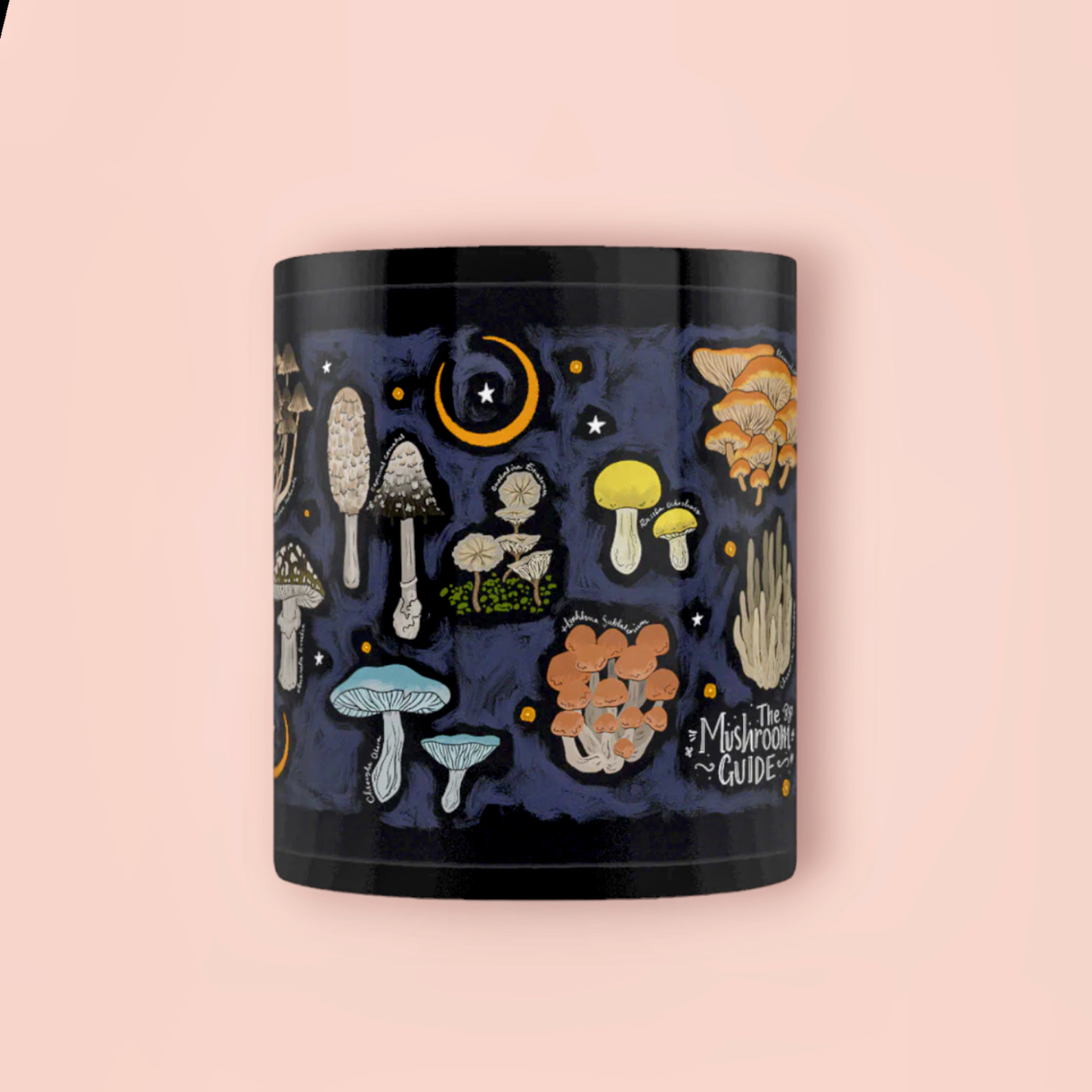 Mushroom Guide Mug