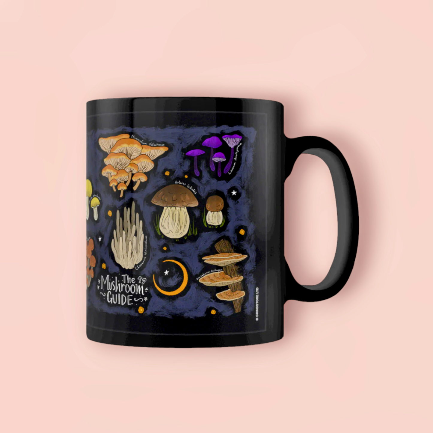 Mushroom Guide Mug