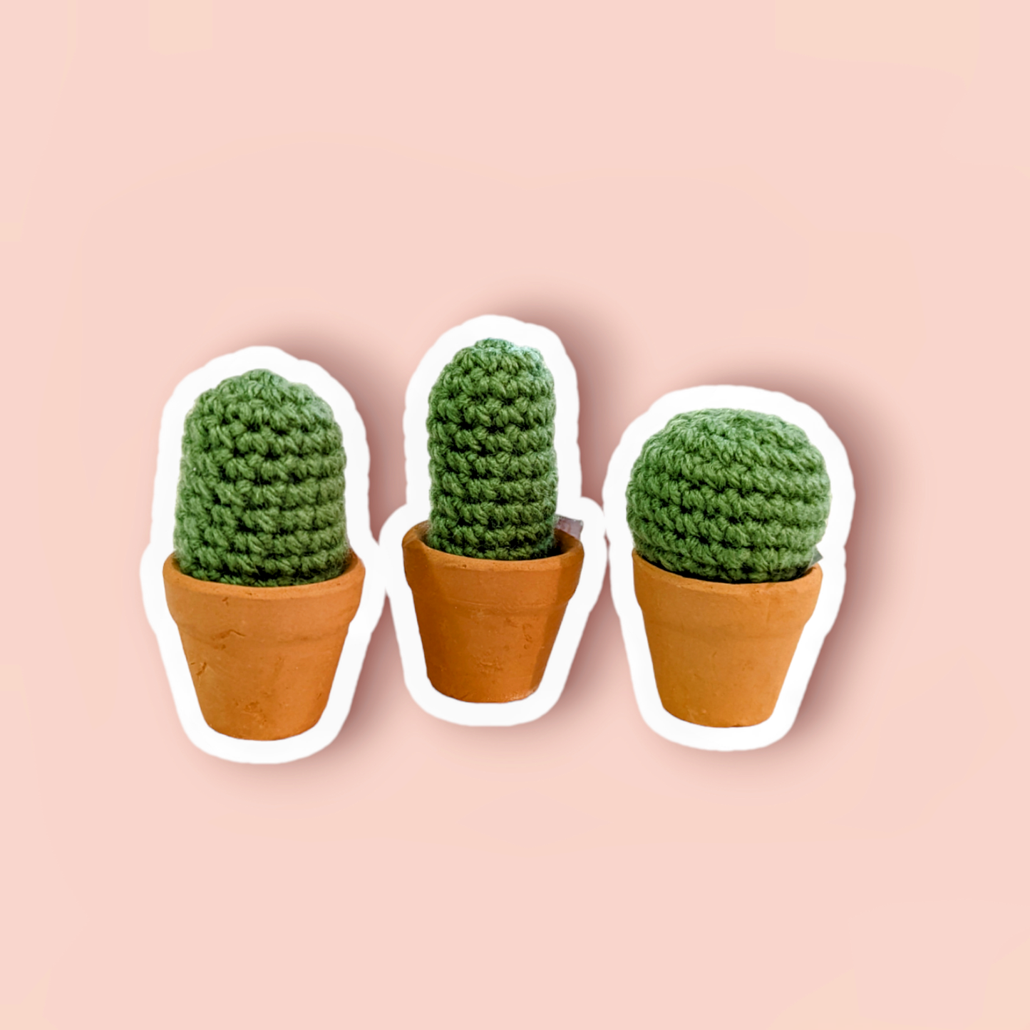 Potted Cactus