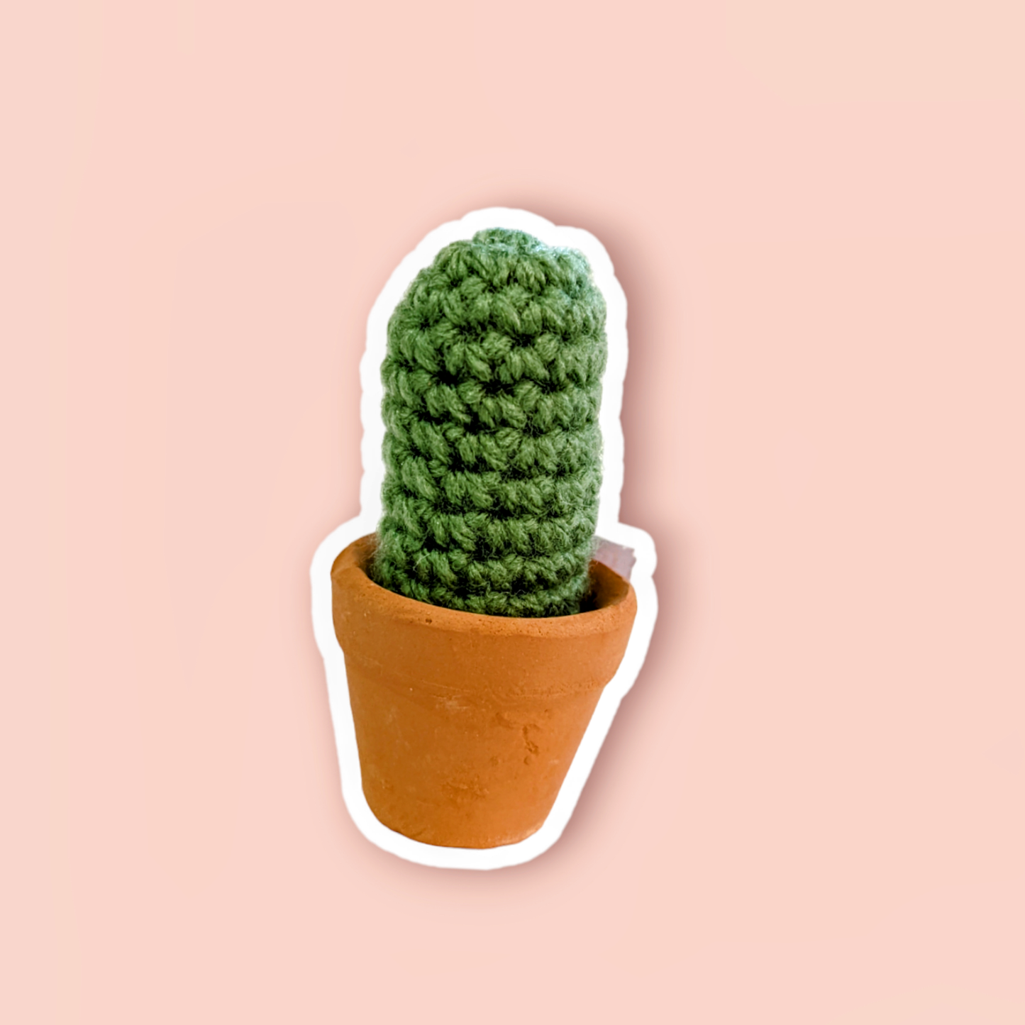 Potted Cactus