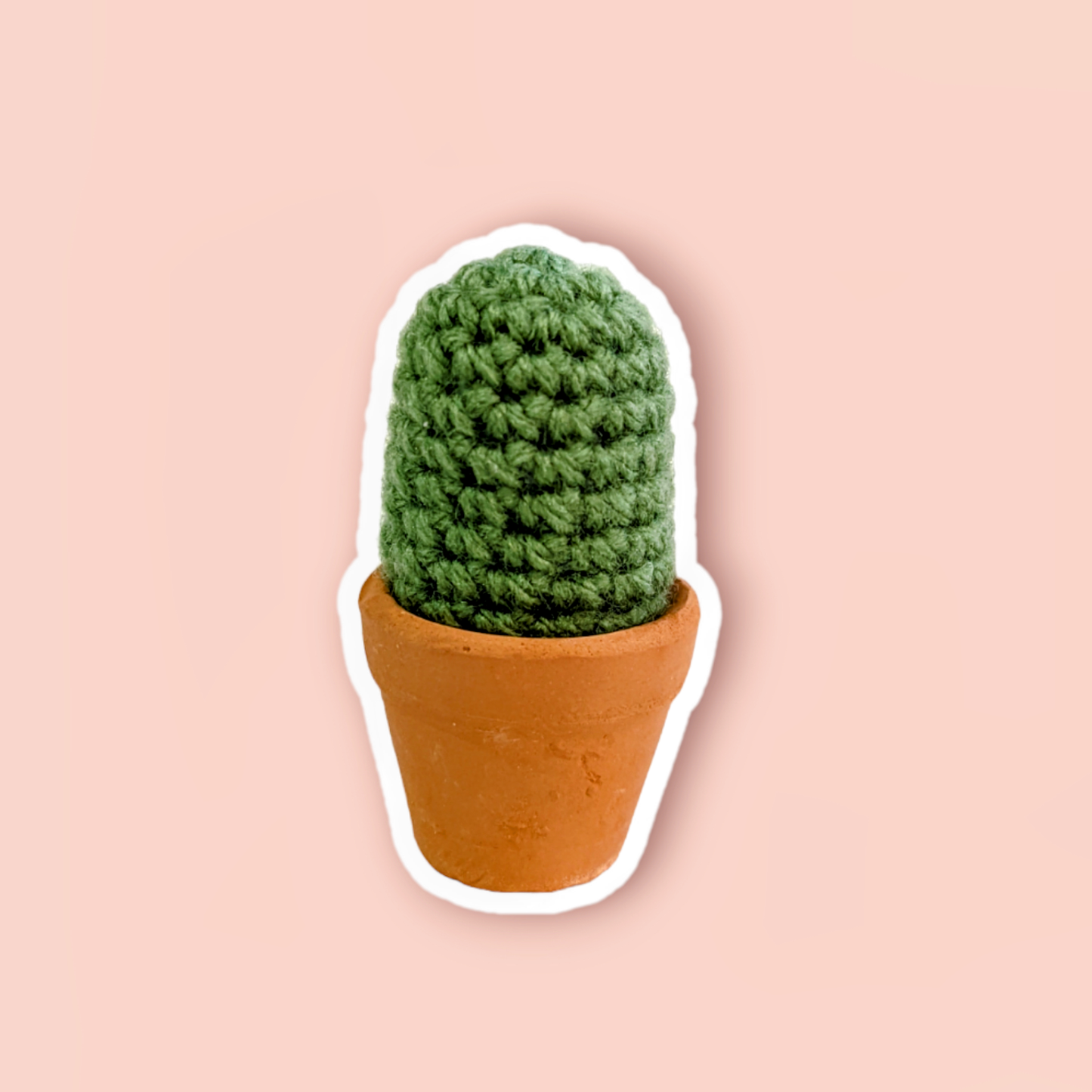 Potted Cactus