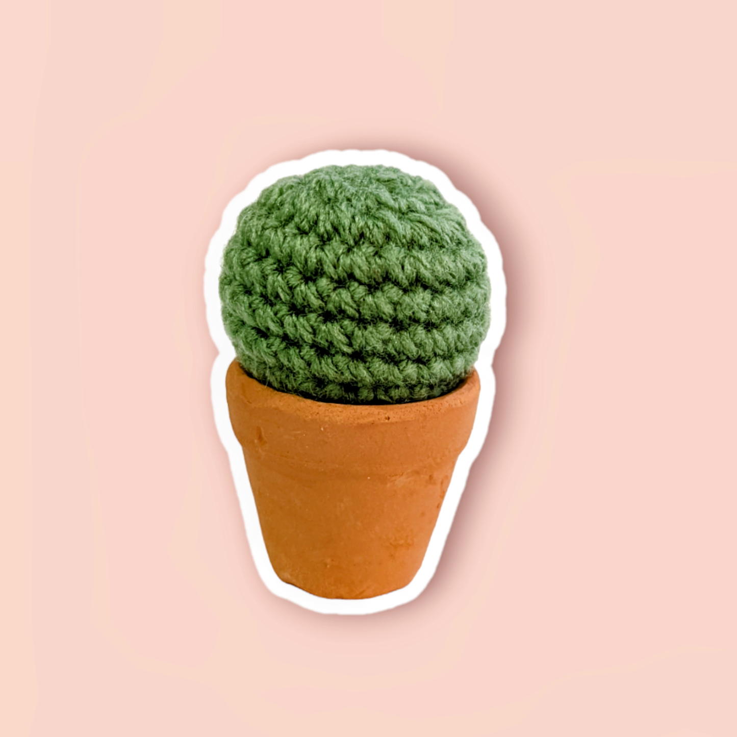 Potted Cactus