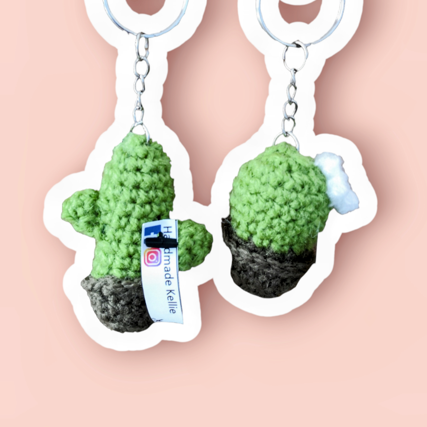 Cactus Plant Keyring