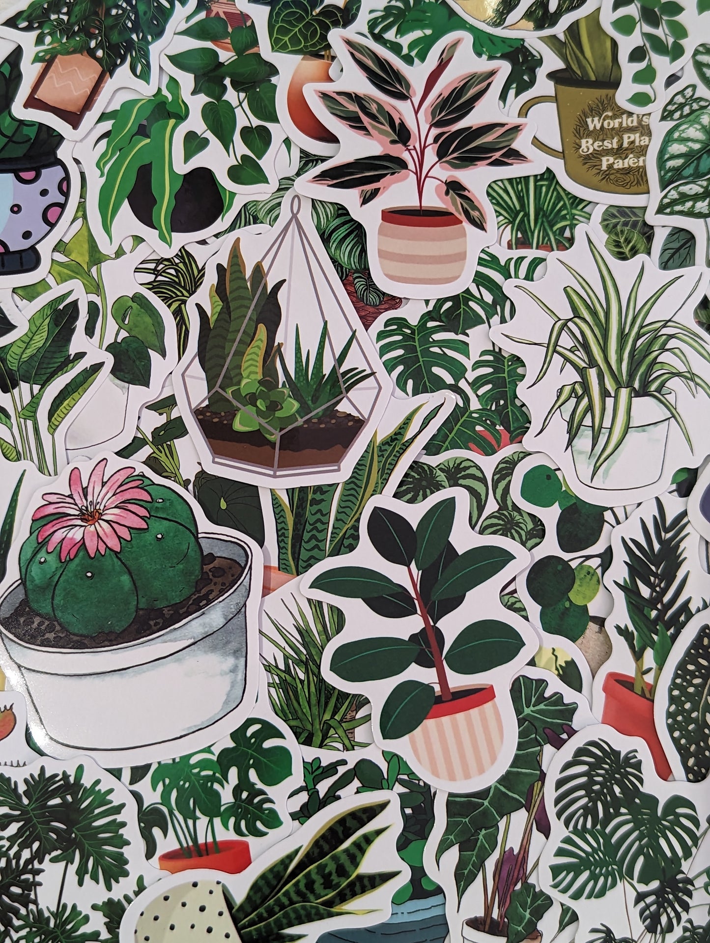 House Plant Sticker Pack